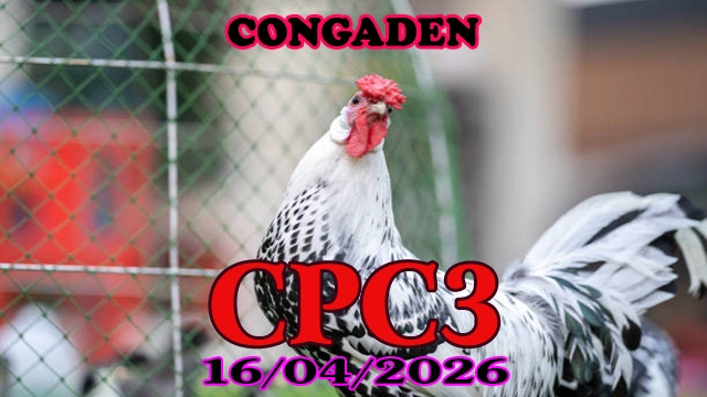 Full Video Clip Đá Gà Thomo CPC3 Ngày 16042026