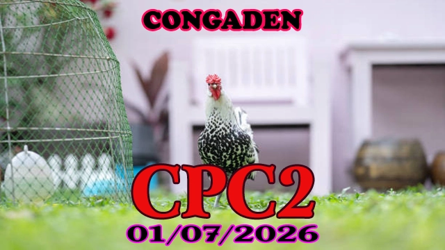 Video đá gà Thomo CPC2 ngày 01072026